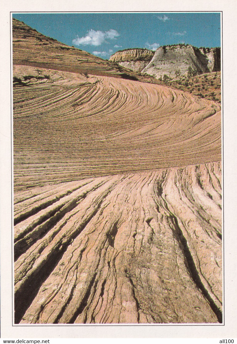 A20430 - ZION MOUNTAINS IN THE NATIONAL PARK PARC NATIONAL USA UNITED STATES OF AMERICA - Zion