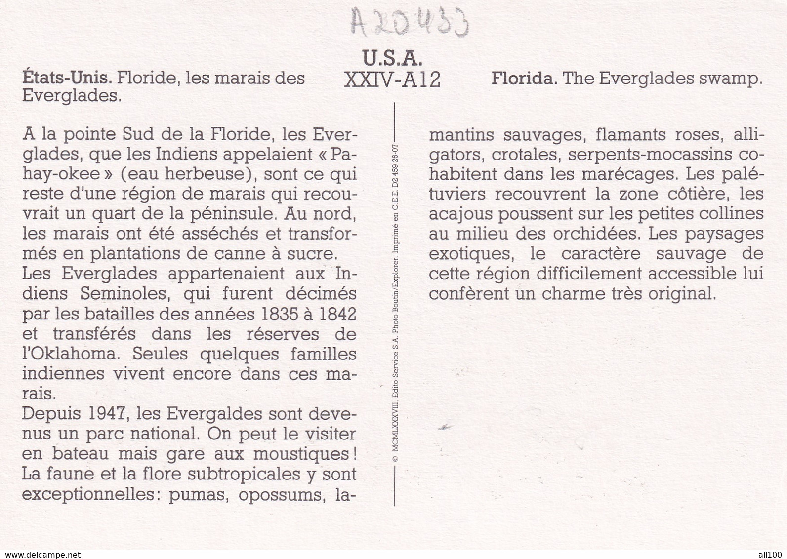 A20433 - FLORIDA THE EVERGLADES SWAMP LES MARAIS DES EVERGLADES NATIONAL PARK USA UNITED STATES OF AMERICA - USA Nationale Parken