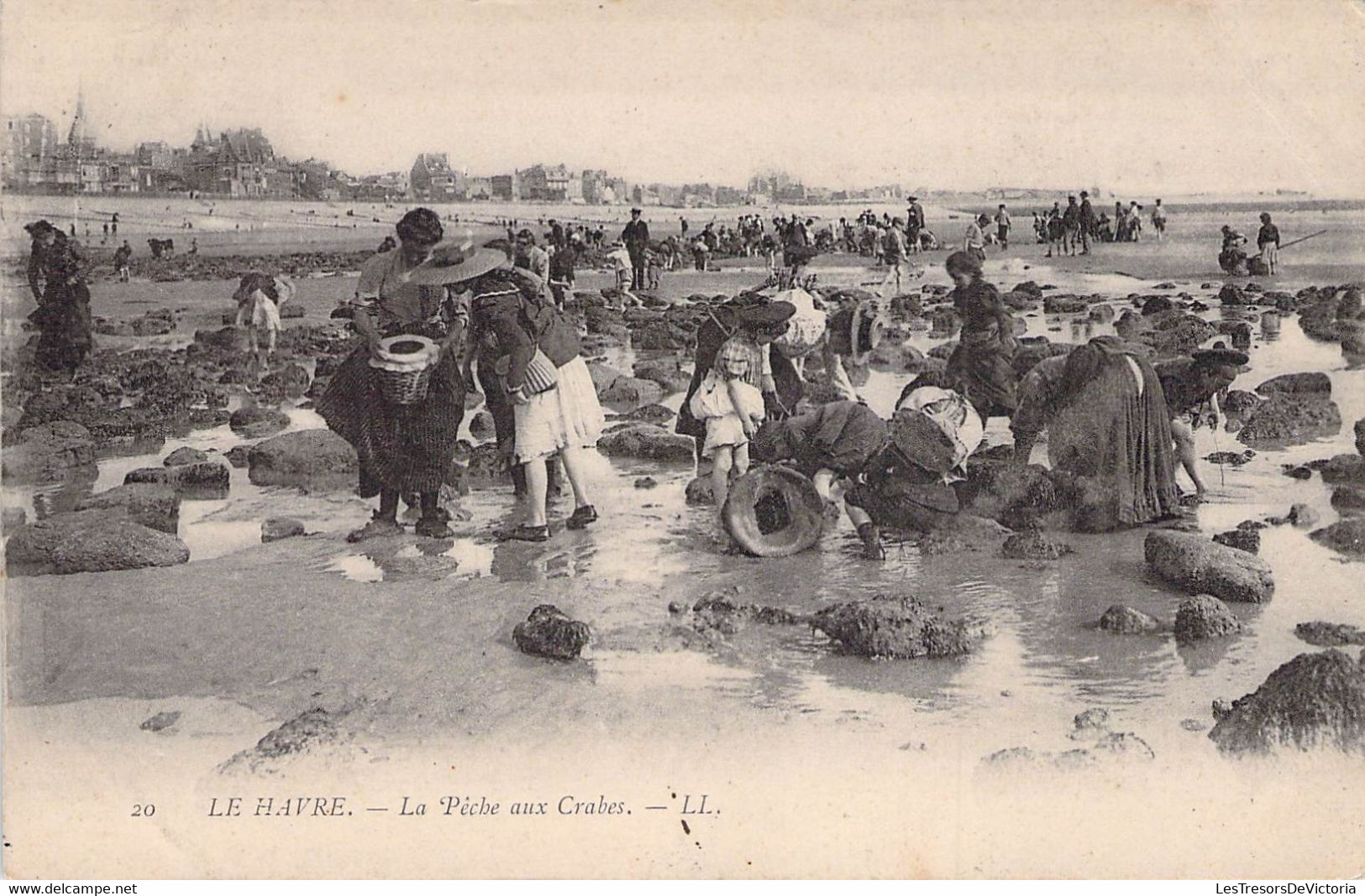 CPA - 76 - LE HAVRE - La Pêche Aux Crabes - LL - Animée - Dos Non Divisé - Haven