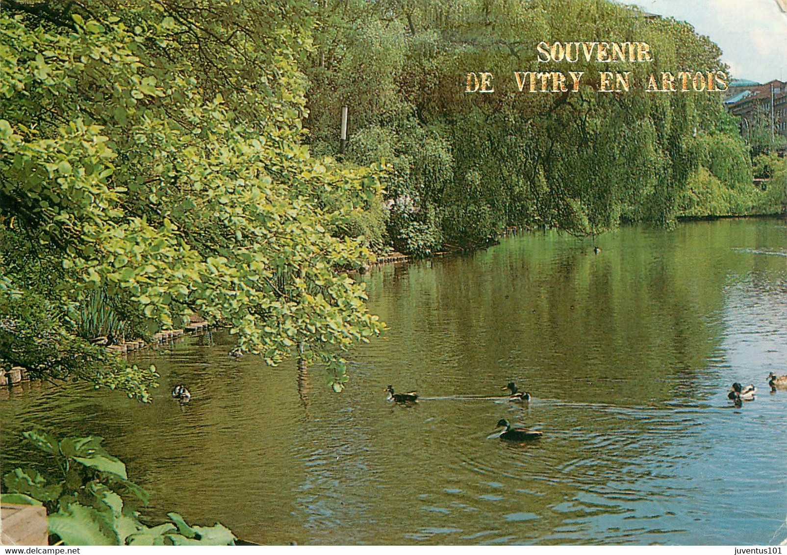 CPSM Souvenir De Vitry En Artois-Timbre      L1855 - Vitry En Artois