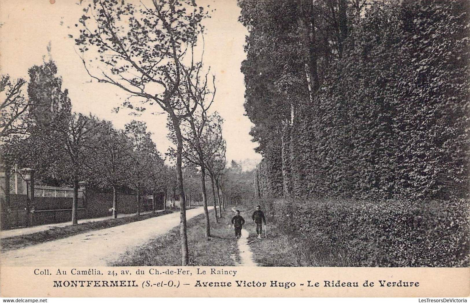 CPA - 93 - MONTFERMEIL - Avenue Victor Hugo - Le Rideau De Verdure - Coll Au Camélia LE RAINCY - Montfermeil