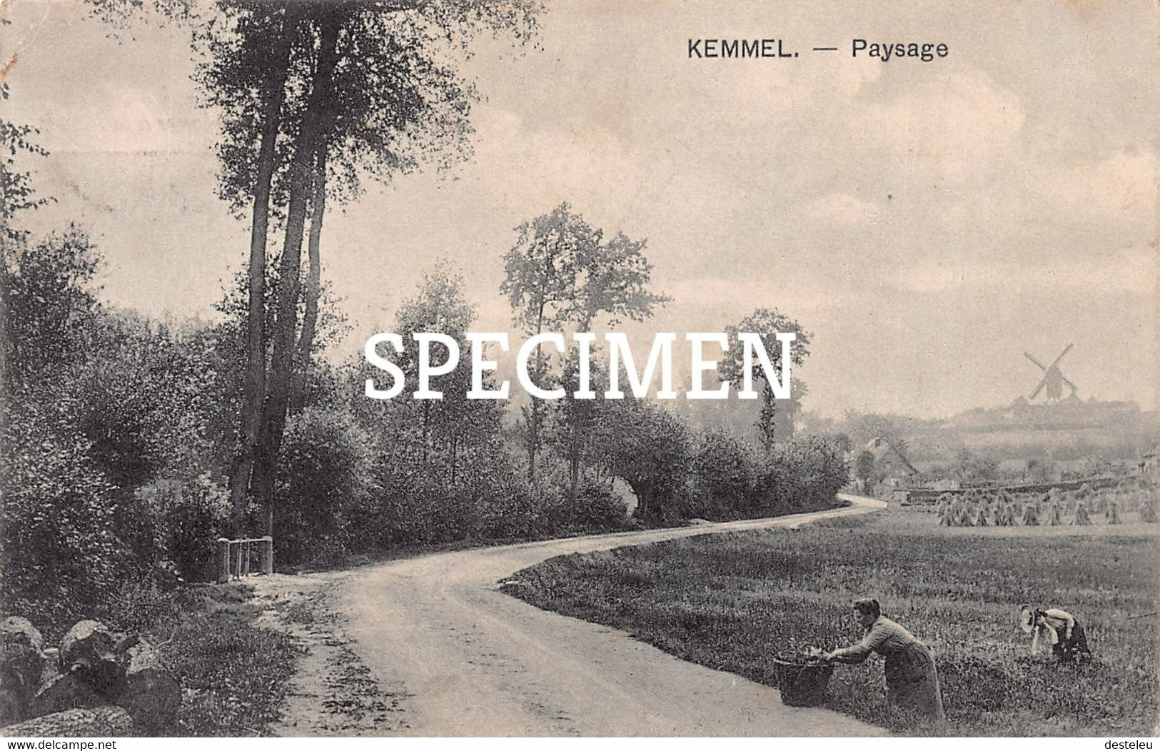 Paysage - Kemmel - Heuvelland