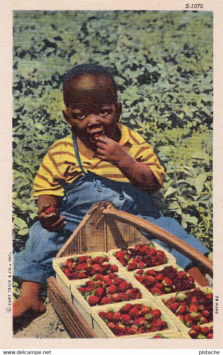 2055 – Black Americana – Child Strawberries – Curt Teich & Co. – Linen – VG Condition – 2 Scans - Negro Americana