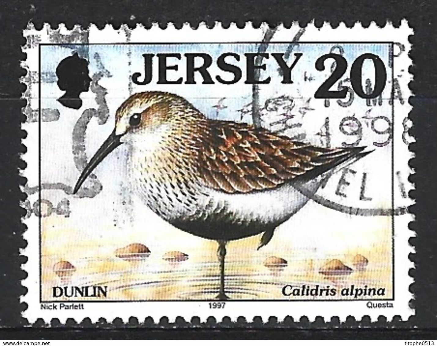 JERSEY. N°762 Oblitéré De 1997. Bécasseau Variable. - Rebhühner & Wachteln