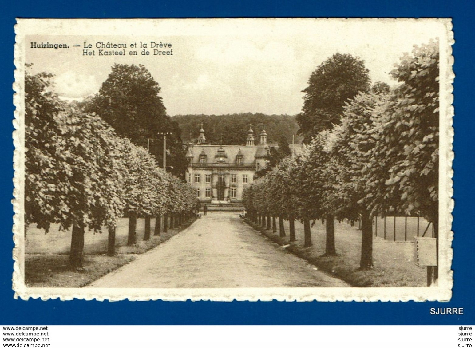 Huizingen / Beersel - Het Kasteel En De Dreef - Le Château Et La Drève - Beersel