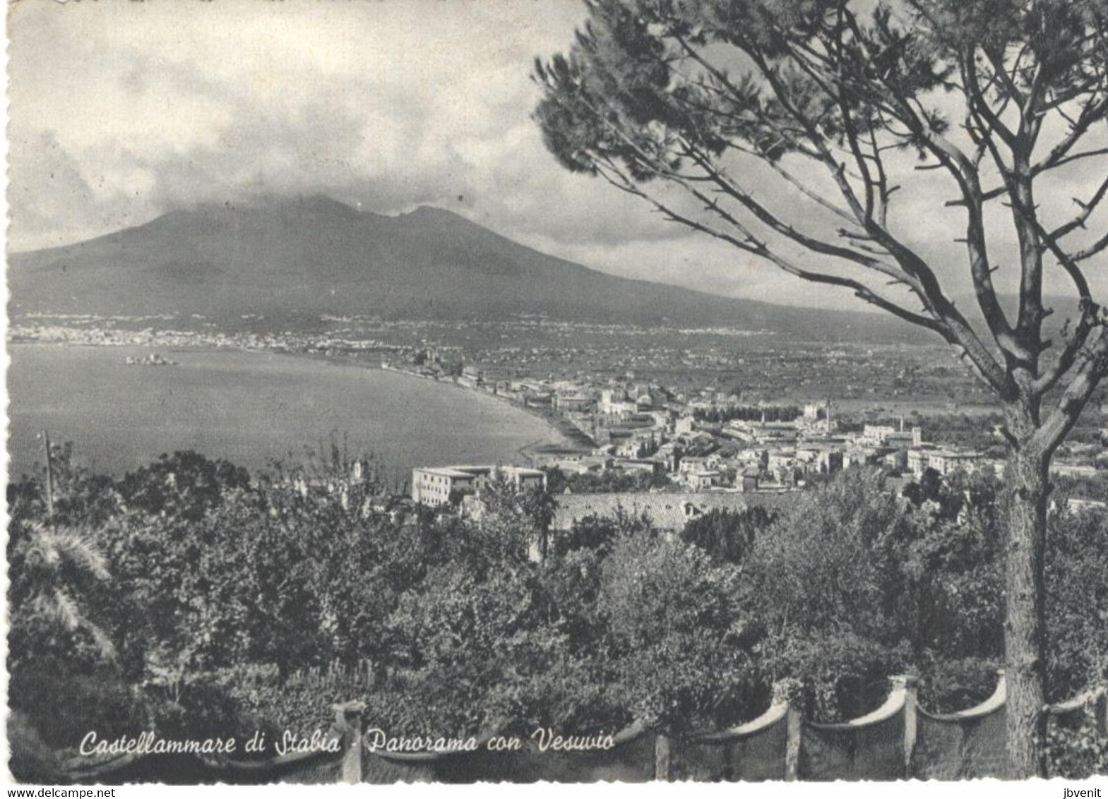 CASTELLAMMARE DI STABIA (NAPOLI) - Panoramacon Vesuvio -1955 - Castellammare Di Stabia