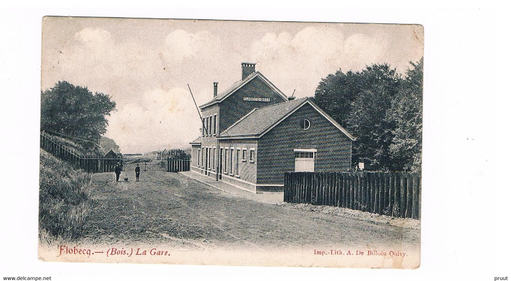 Flobecq / Vloesberg ( Bois ) - La Gare 1908 - Flobecq - Vloesberg