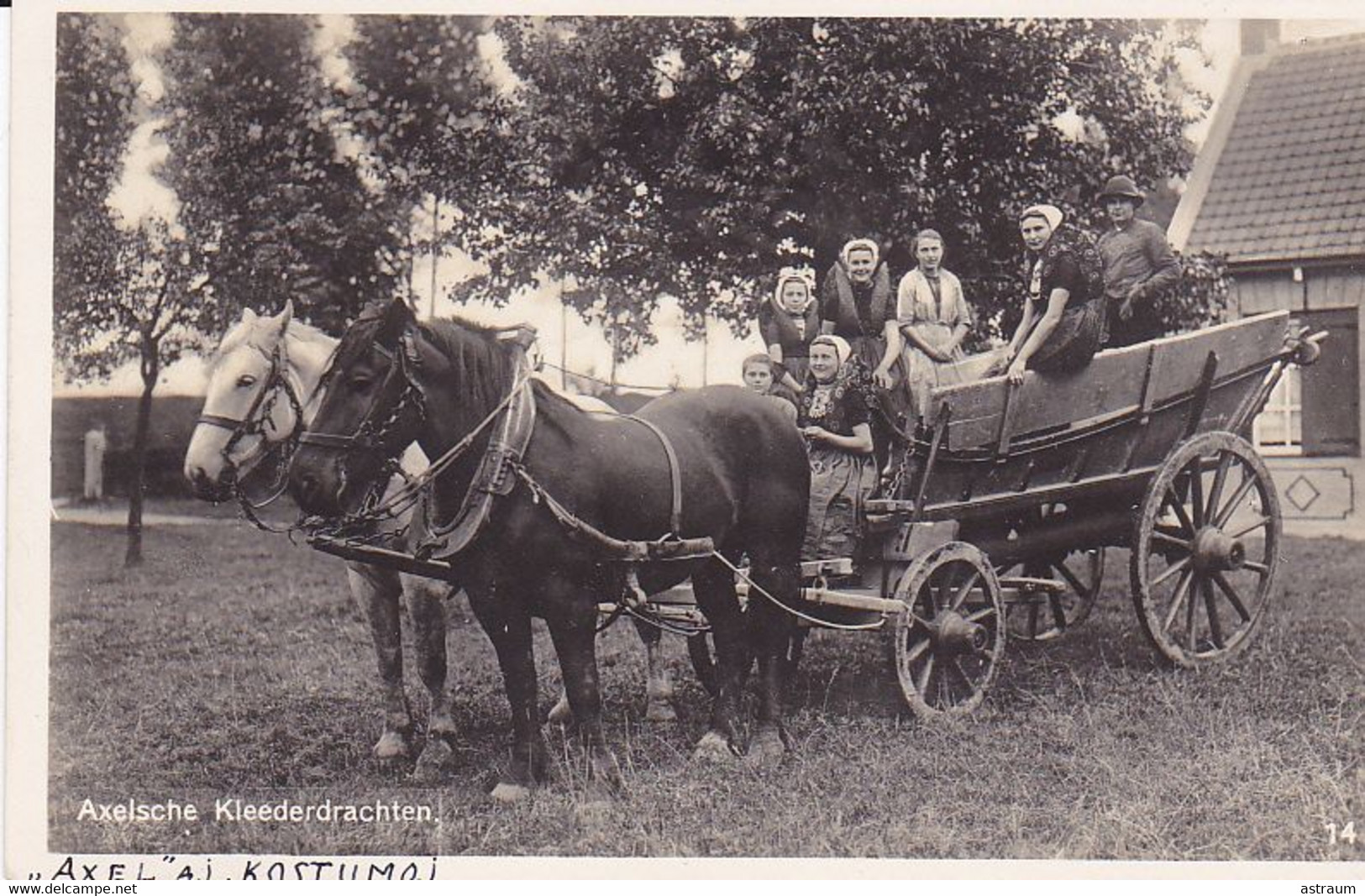 Cpa-eur- Pays Bas - Axel - Axelsche Kleederdrachten N°14- Attelage De Chevaux - Axel