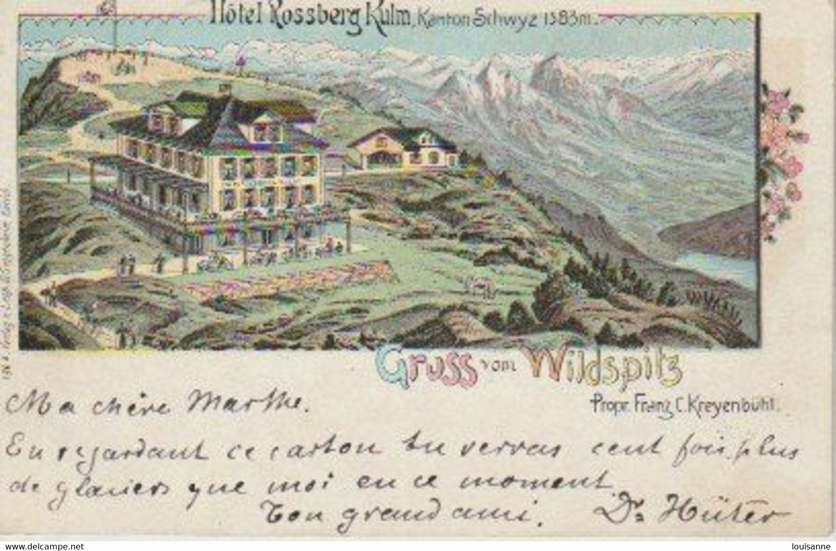 GRUSS  VOM  WILDSPITZ    - C  P  A  ( 22 / 10 / 249  ) - Souvenir De...