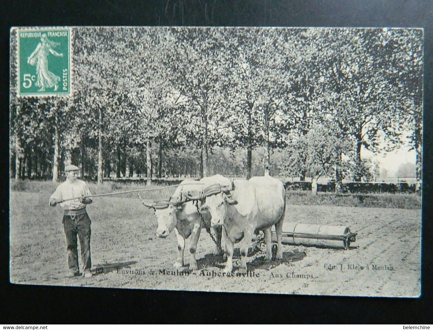 ENVIRONS DE MEULA AUBERGENVILLE                              AUX CHAMPS - Aubergenville