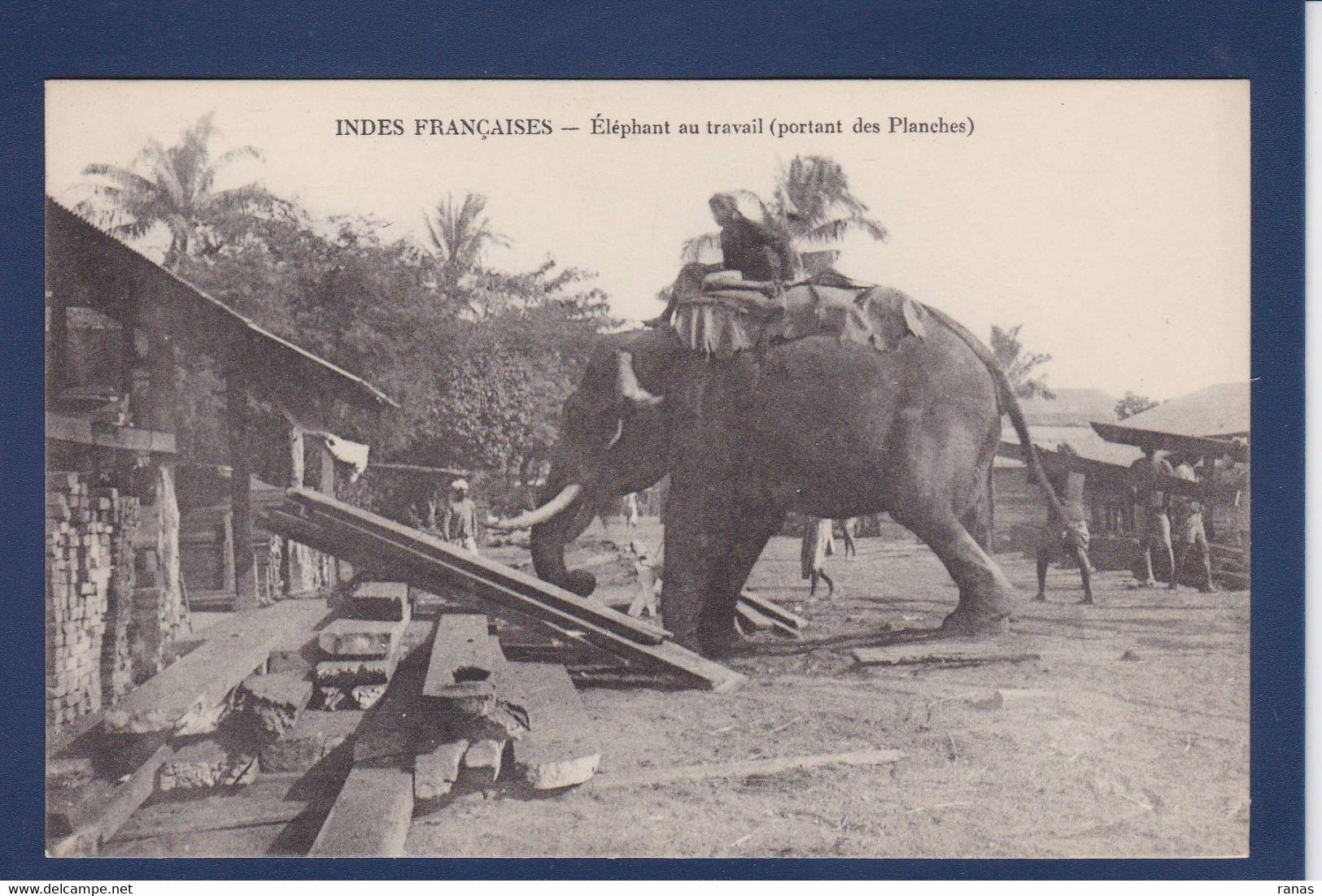 CPA Inde Française Pondichery India Asie Non Circulé éléphant - India