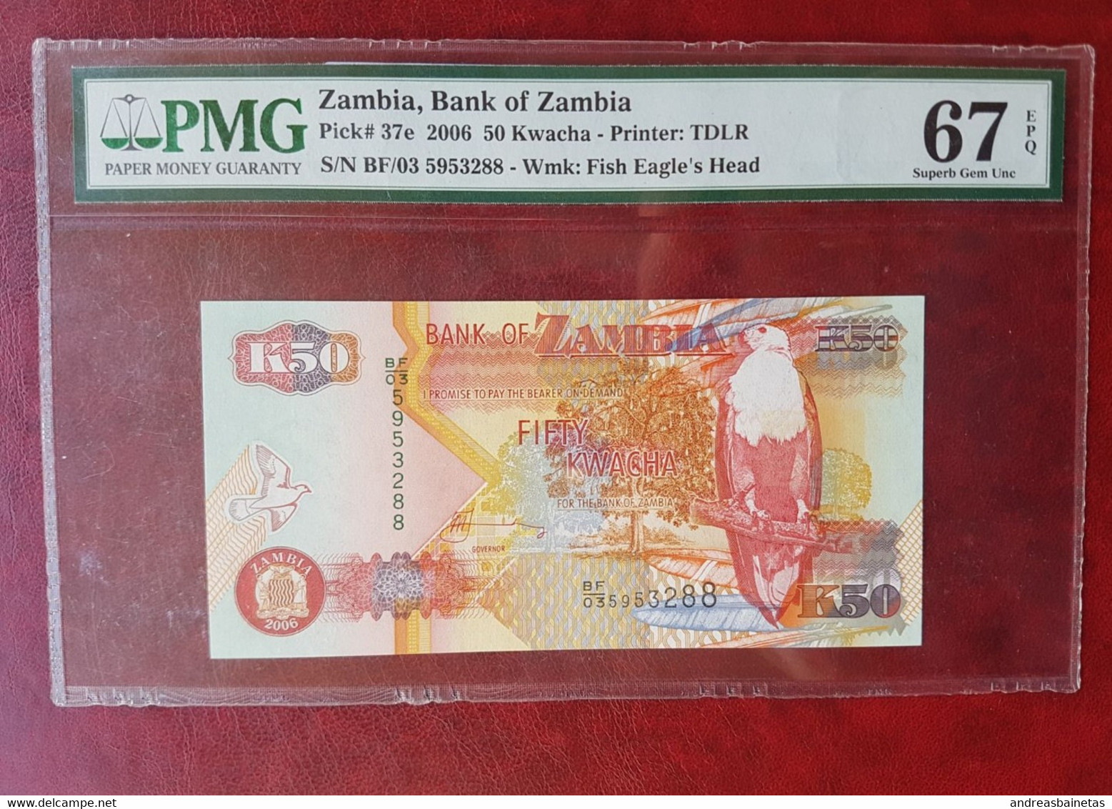 Banknotes  Zambia 50 Kwacha 2006 PMG 67 African Fish Eagle - Zambie