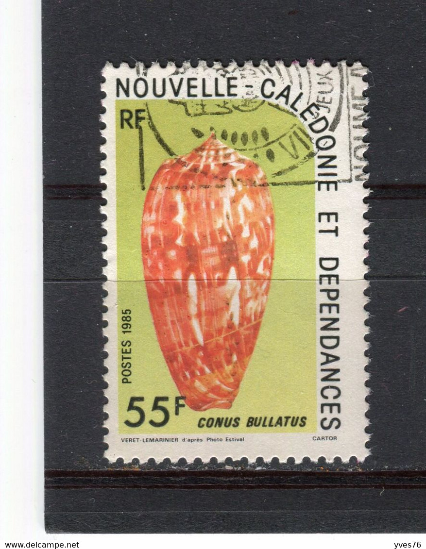 NOUVELLE-CALEDONIE - Y&T N° 498° - Faune - Coquillage - Oblitérés