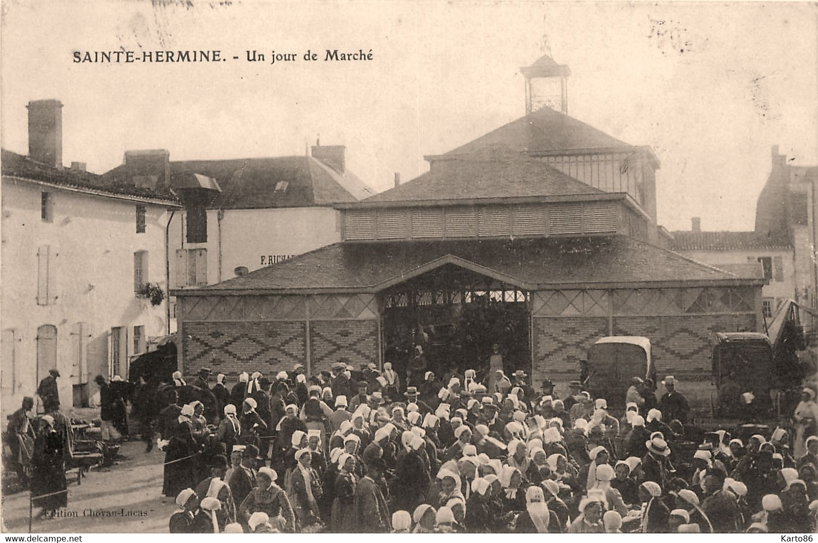 Ste Hermine * Un Jour De Marché * Place Et Les Halles * Coiffe - Sainte Hermine