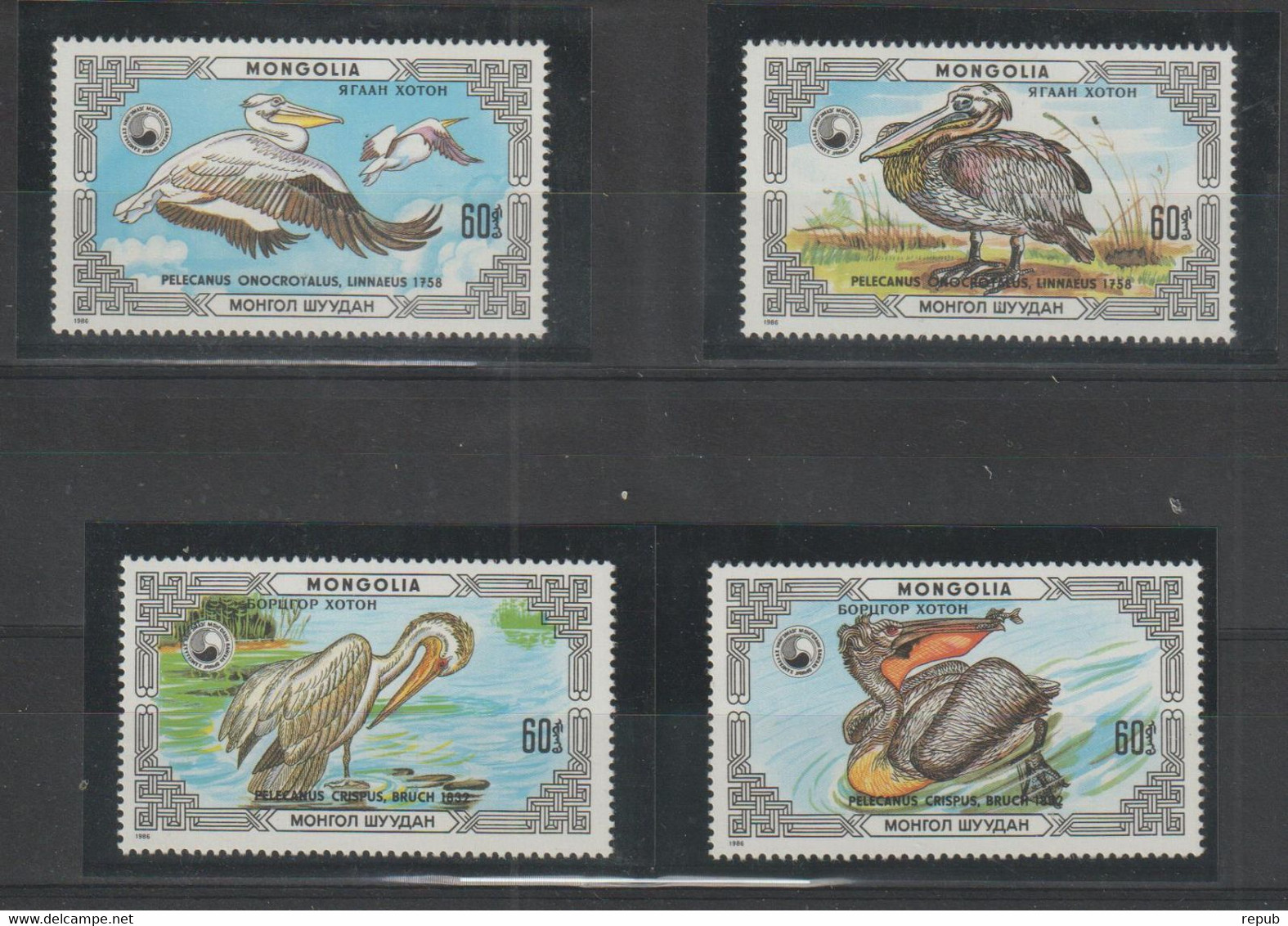 Mongolie 1986 Pélicans 1481-84, 4 Val ** MNH - Mongolie