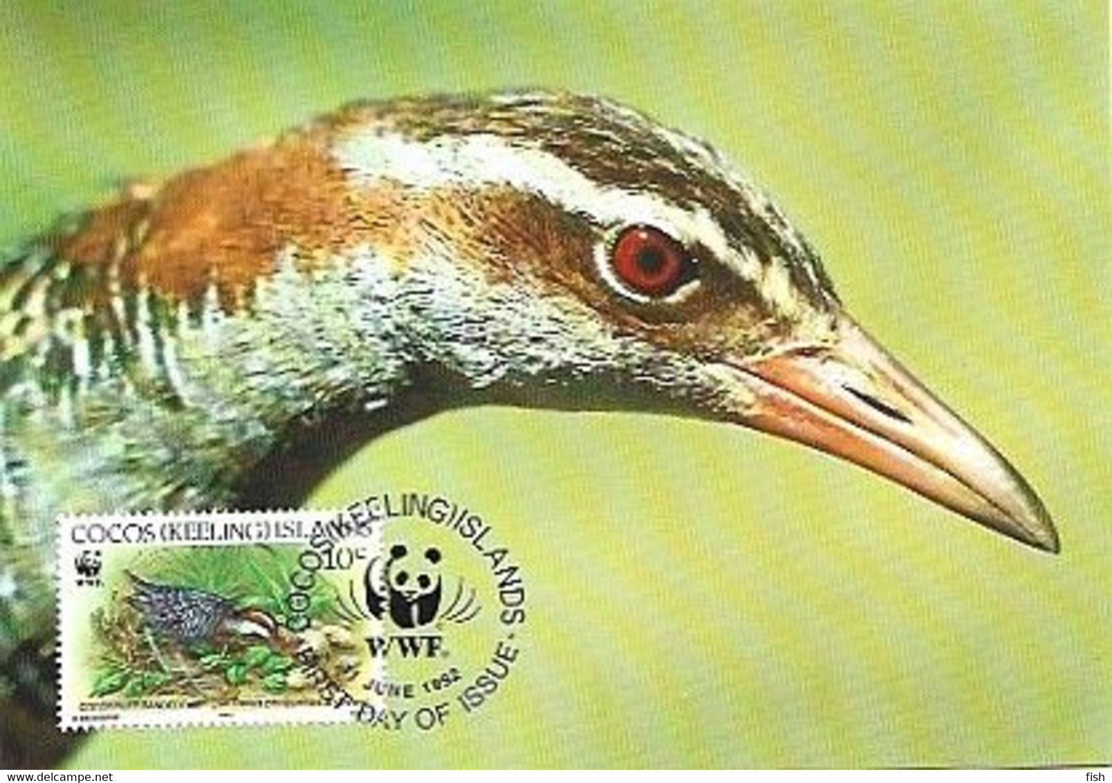 Cocos Island & Maximum Card,  WWF Buff-Banded Rail, Gallirallus Philippensis Andrewsi 1992 (7913337) - Islas Cocos (Keeling)