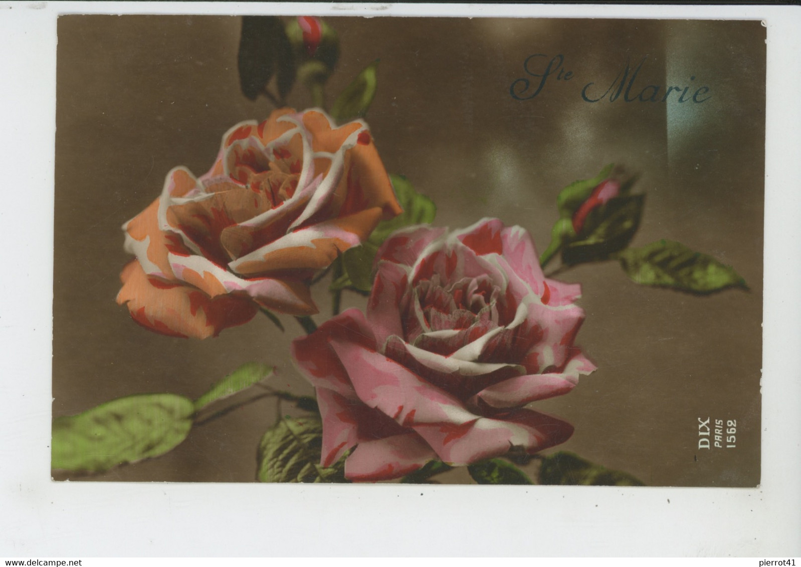 PRENOMS - FLEURS - Lot De 2 Jolies Cartes Fantaisie Fleurs Roses Et Oeillets "VIVE SAINTE MARIE " - Prénoms