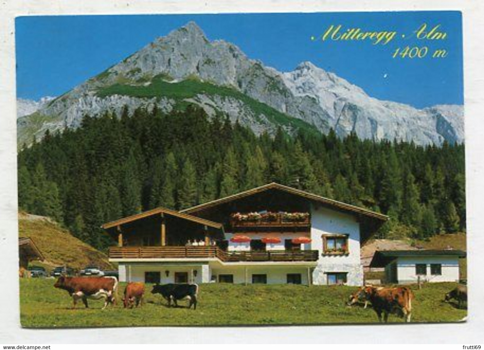 AK 086323 AUSTRIA - Mühlbach Am Hochkönig - Mitteregg-Alm - Mühlbach Am Hochkönig