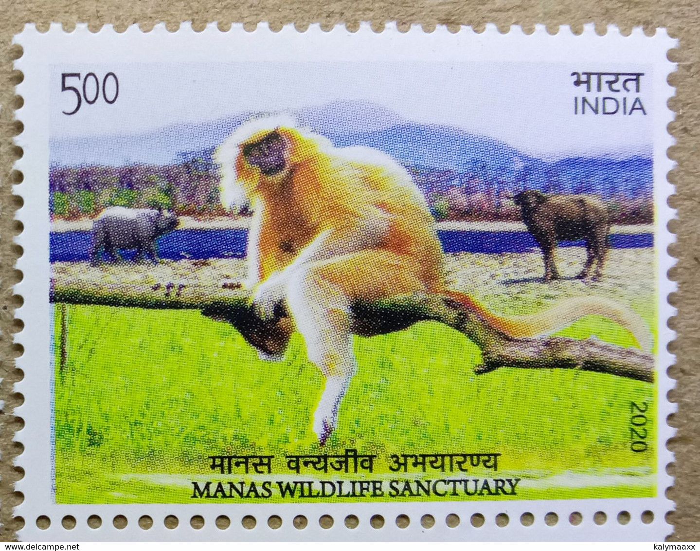 INDIA 2020 UNESCO MANAS WILDLIFE SANCTUARY, GOLDEN LANGUR, MONKEY, WILDLIFE.....MNH - Unused Stamps