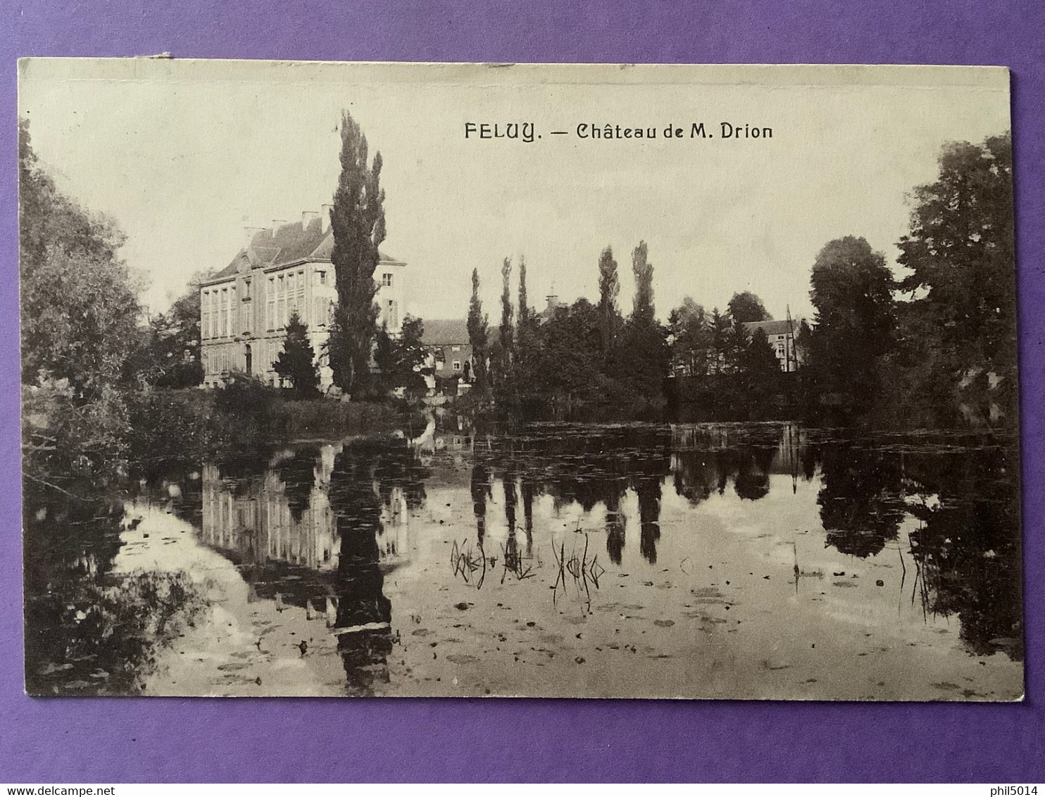 Belgique     FELUG     Château De M. Drion        Très Bon état - Seneffe