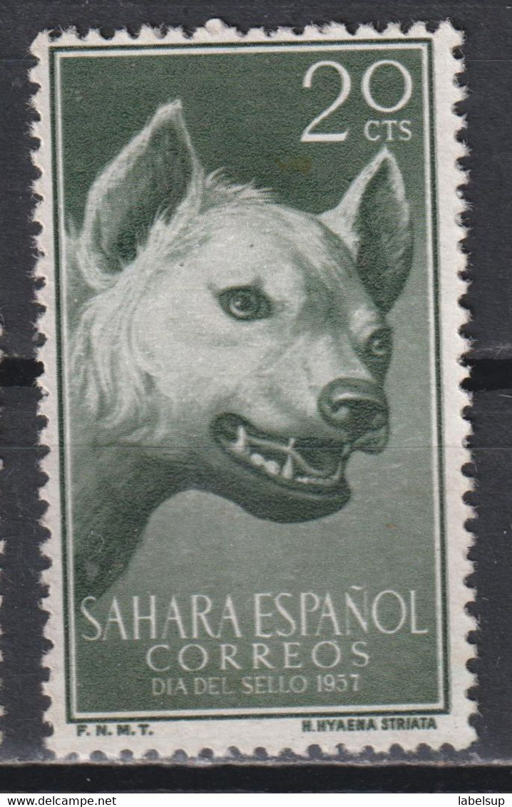 Timbre Oblitéré Du Sahara Espagnol De 1957 N°131 - Sahara Español