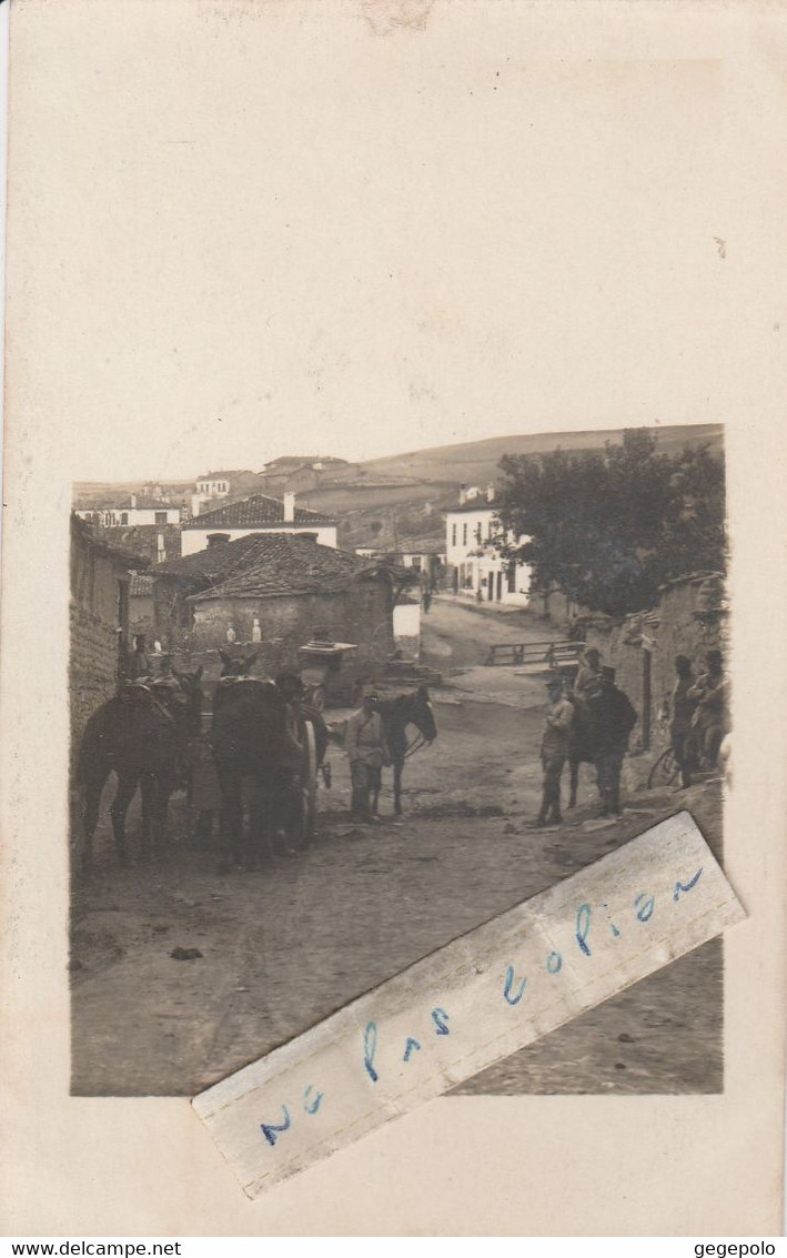 NEGOTIN - La Vallée De VARDA ( Kosjeric )   Carte Photo - Serbia