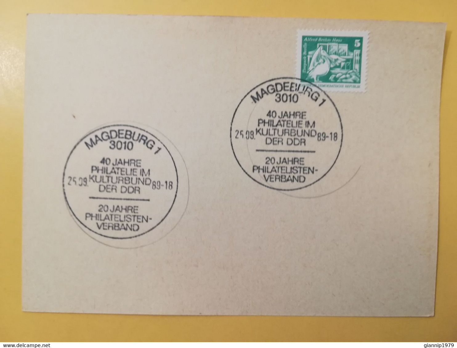 1989 INTERO CARTOLINA POSTALE POSTCARDS FDC GERMANIA DEUTSCHE DDR ALFRED BREHM HAUS OBLITERE' MAGDEBURG - Postcards - Mint