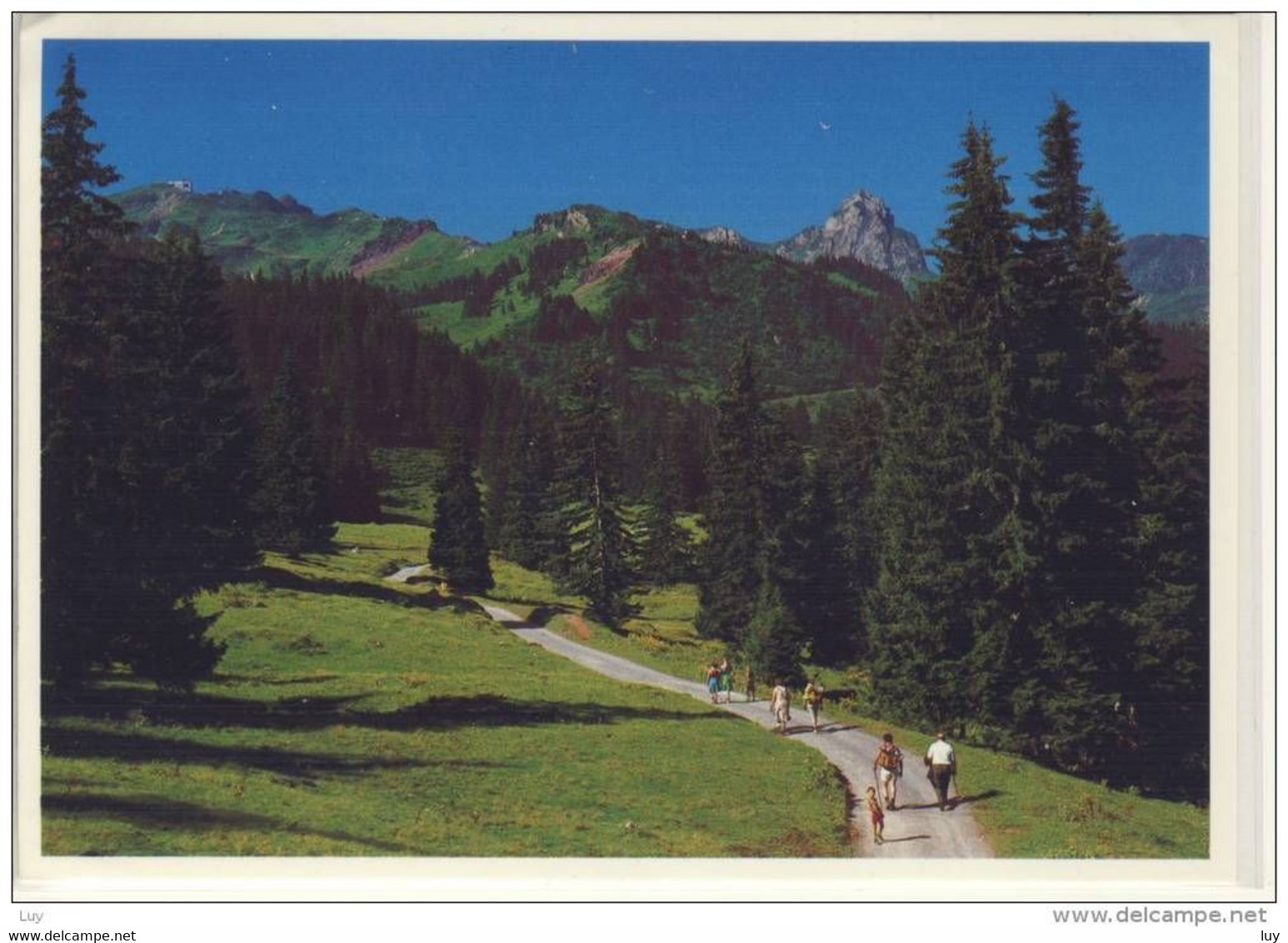 FLUMSERBERG  -  Weg Nach Seebenalp, Nice Stamp - Flums