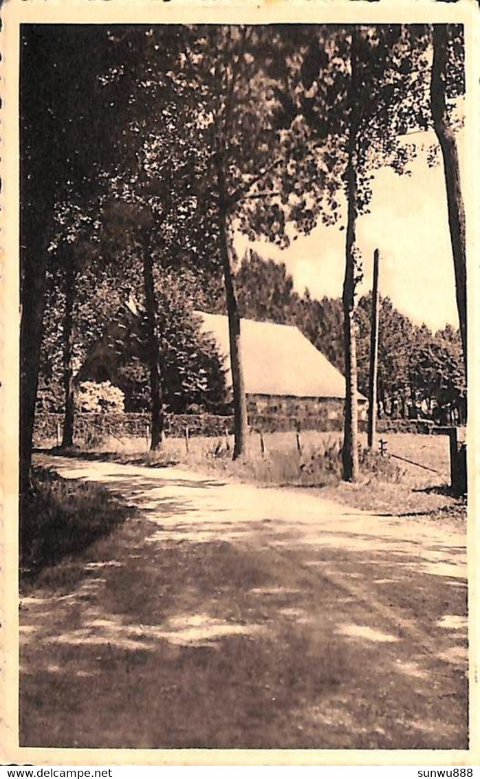 Philippeville - La Chapelle Des Remparts (1954) - Philippeville