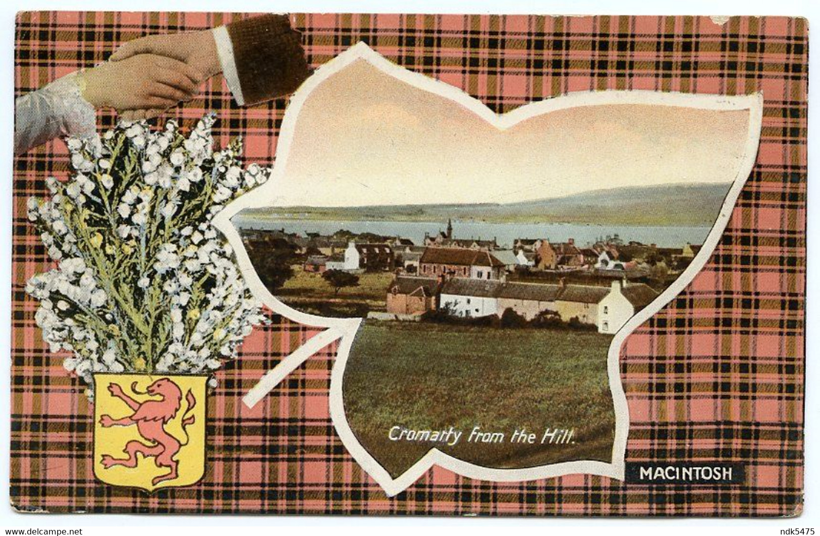 CROMARTY : FROM THE HILL / ADDRESS - PORTSMOUTH, SOUTHSEA, ALBERT ROAD (COLE) / MacINTOSH TARTAN - Ross & Cromarty
