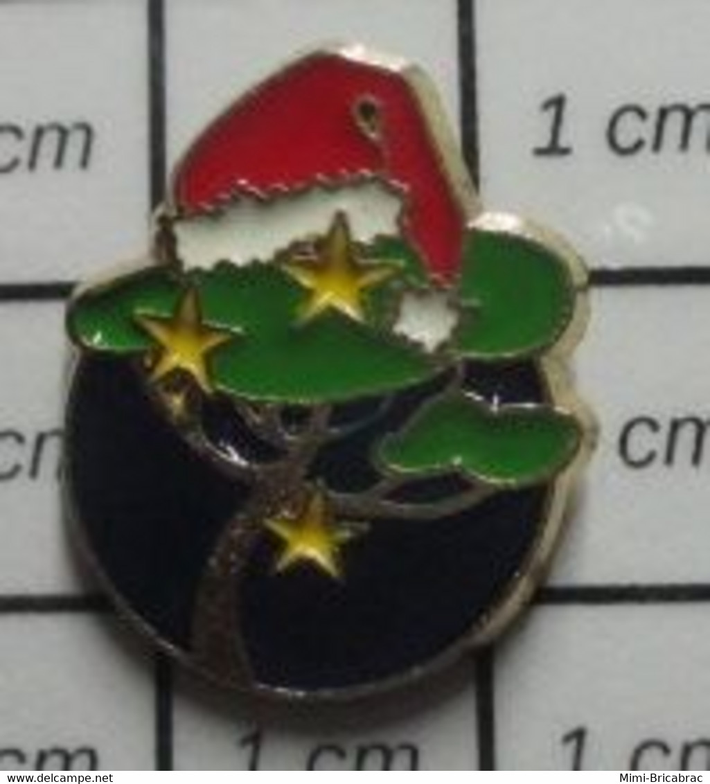 413g Pin's Pins / Beau Et Rare / NOEL / BONNET DE PERE NOEL ET ARBRE VERT Par FONDATION DE LA FORET - Christmas