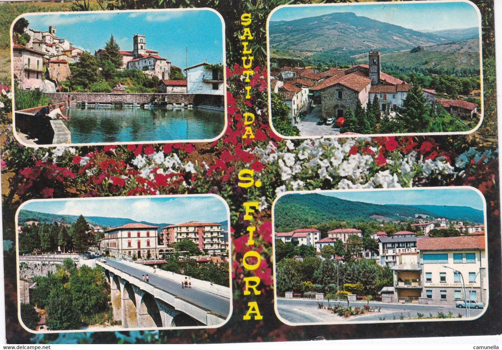 CARTOLINE SALUTI DA... SAN FIORA - Souvenir De...