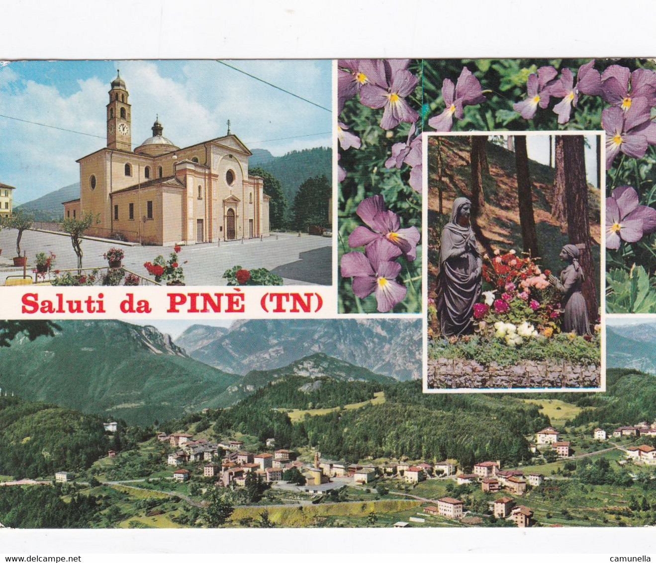 CARTOLINE SALUTI DA... PINE' - Souvenir De...