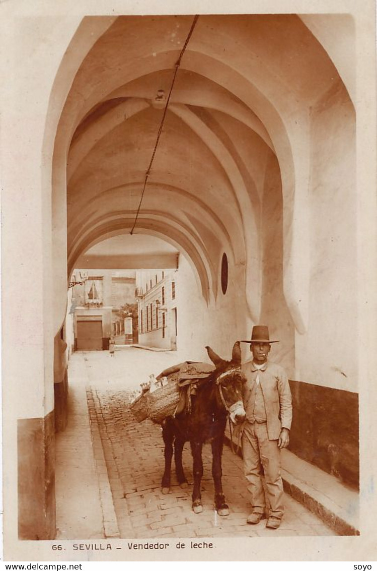 Vendeur De Lait Milk Vendor Vendedor De Leche Ane Donkey Sevilla - Marchands