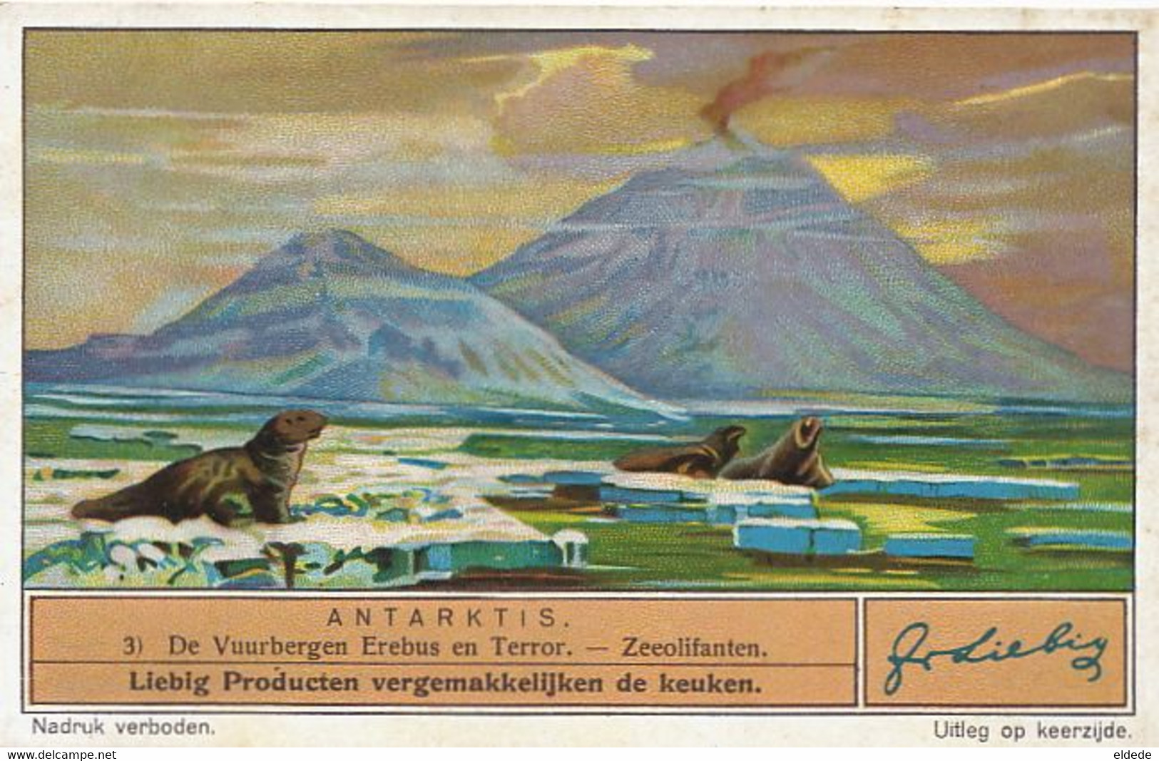 Chromo Antarctique Volcan Erebus Erebus Volcano Morse Elephant De Mer - TAAF : French Southern And Antarctic Lands