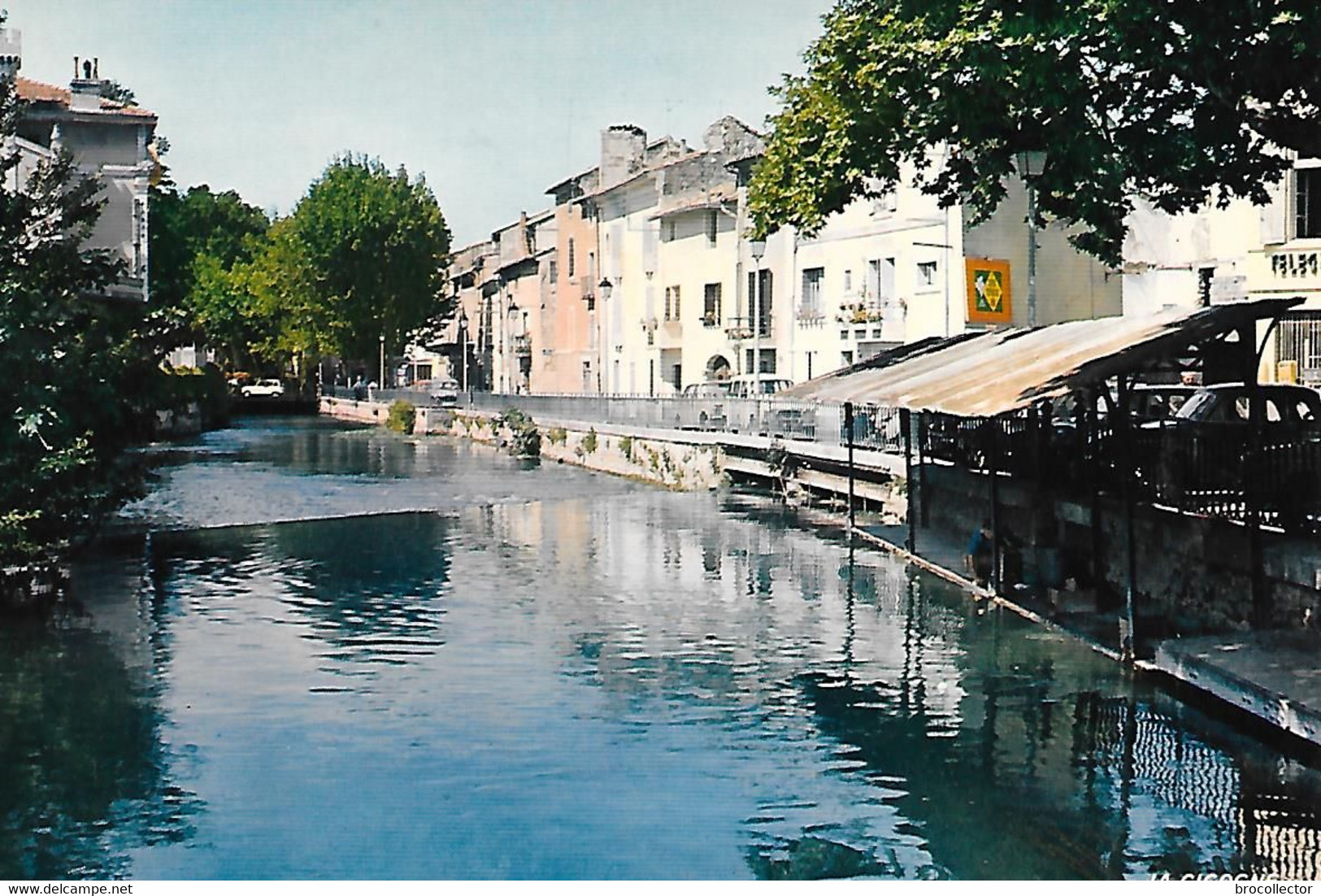 L' ILE Sur SORGUE  ( 84 ) -  La Sorgue  ( C.P.M. , Gr - Ft ) - L'Isle Sur Sorgue