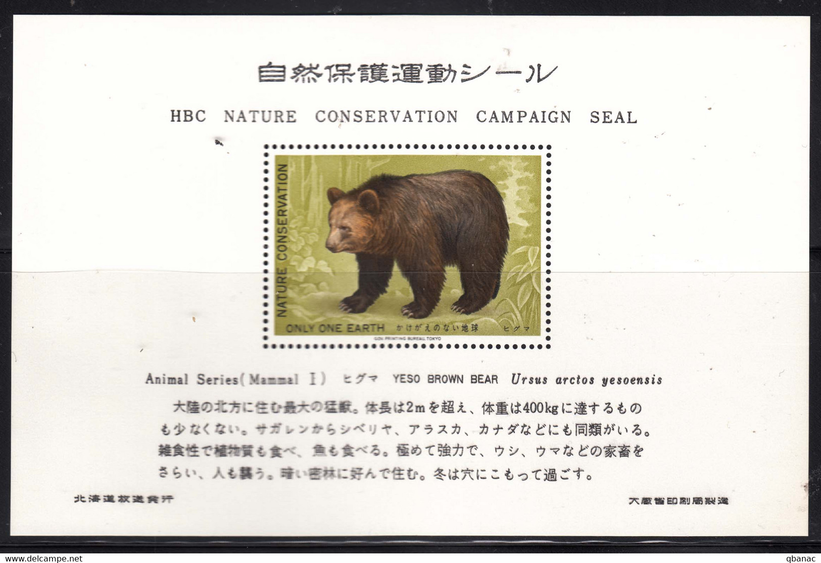 Japan Special HBC Nature Conservation Edition, Animals Series Bear Block - Blocks & Kleinbögen