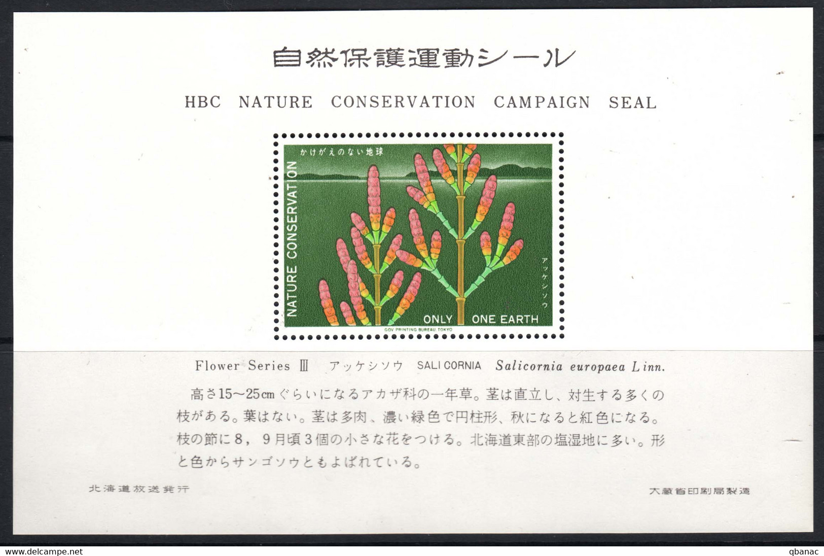 Japan Special HBC Nature Conservation Edition, Flowers Series Block - Blocks & Sheetlets