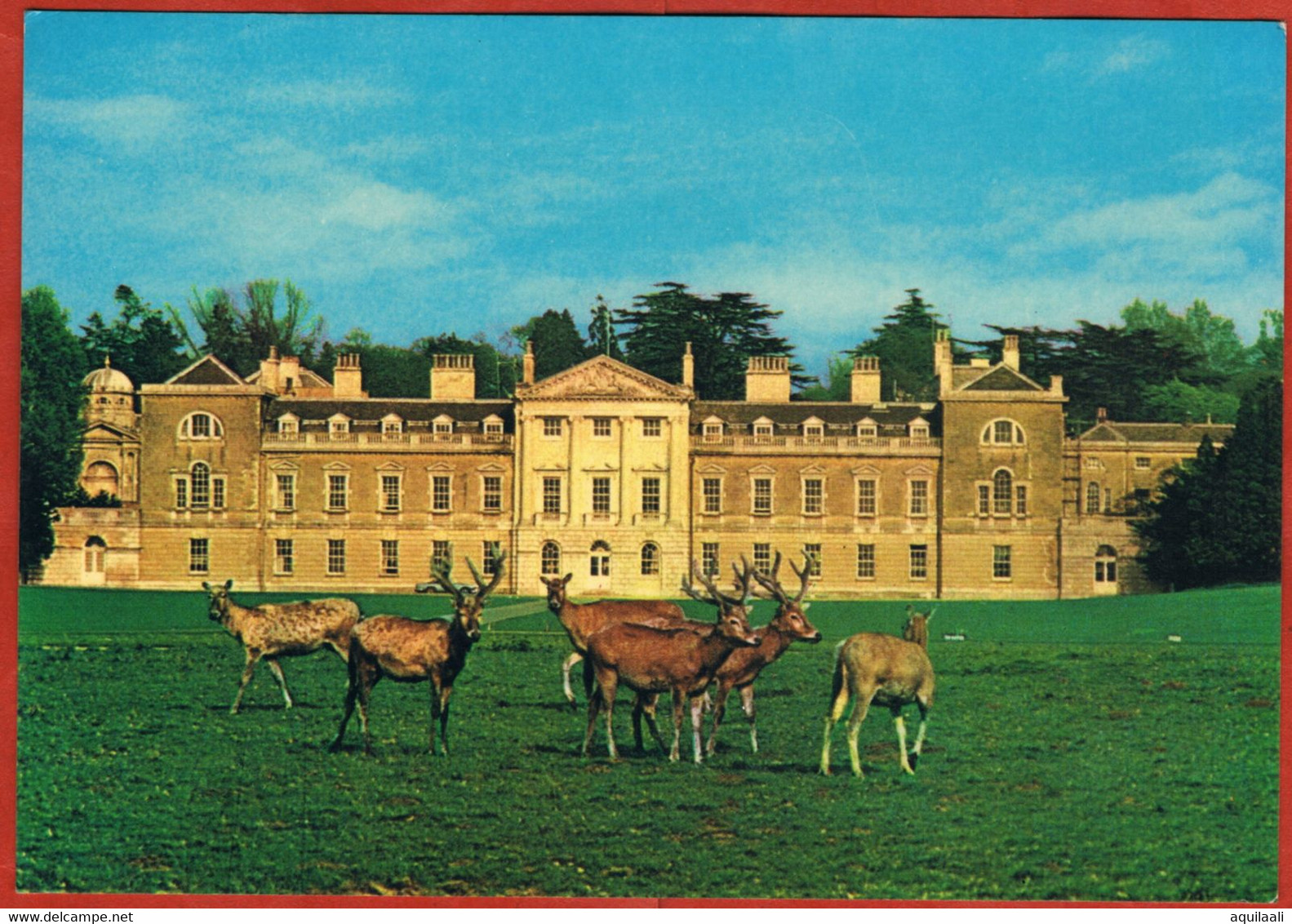 England, Woburn Abbey And Herd Of Père David Deers. - Autres & Non Classés