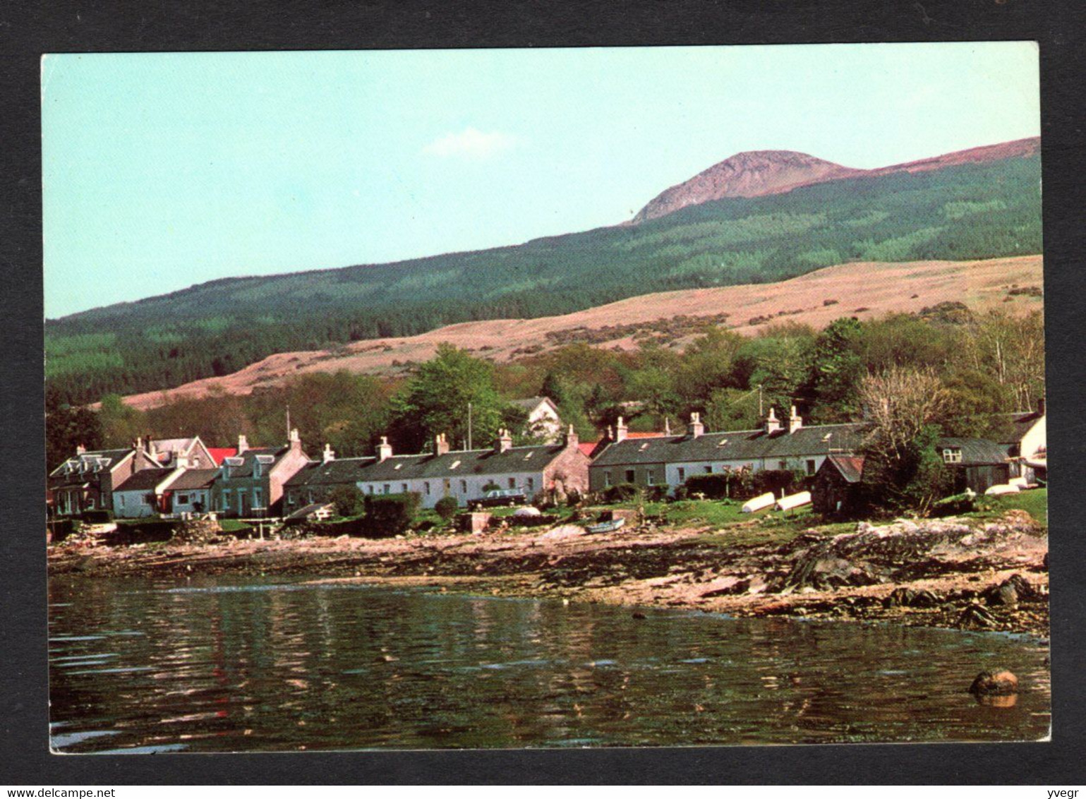 Ecosse - NEWTON Village - Near Strachur , Loch Fyne (Braemar Films Limited N° 1663) - Dumfriesshire