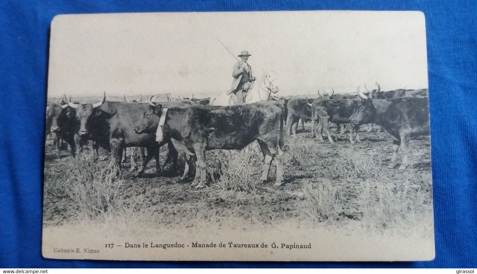 CPA CHEVAL  TAUREAUX  GARDIAN LANGUEDOC  MANADE G PAPINAUD 117 ED CABANIS NIMES GARD - Tauri