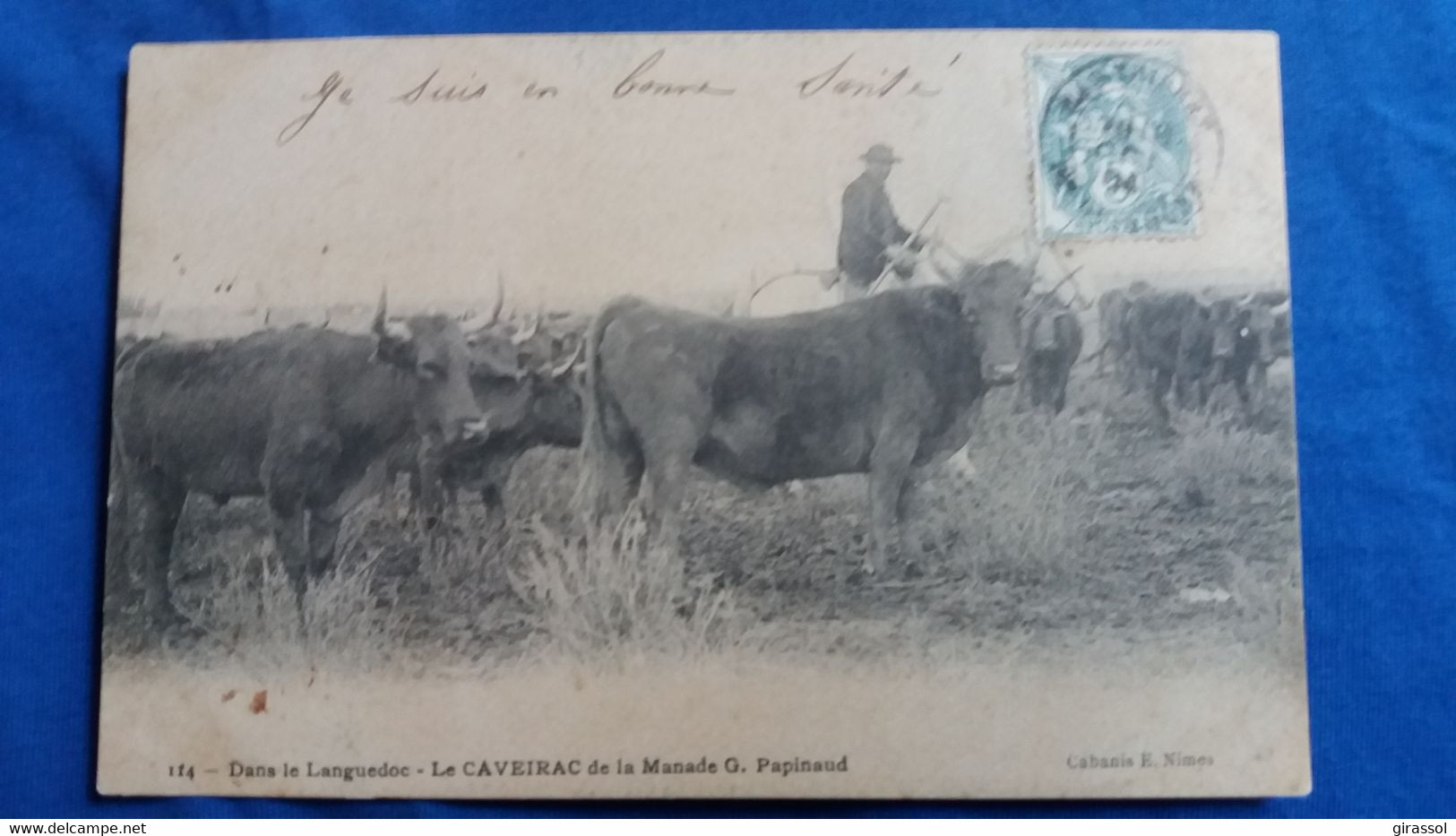 CPA CHEVAL  TAUREAUX  GARDIAN LANGUEDOC LE CAVEIRAC DE LA MANADE G PAPINAUD 114 ED CABANIS NIMES GARD 1904 - Tauri