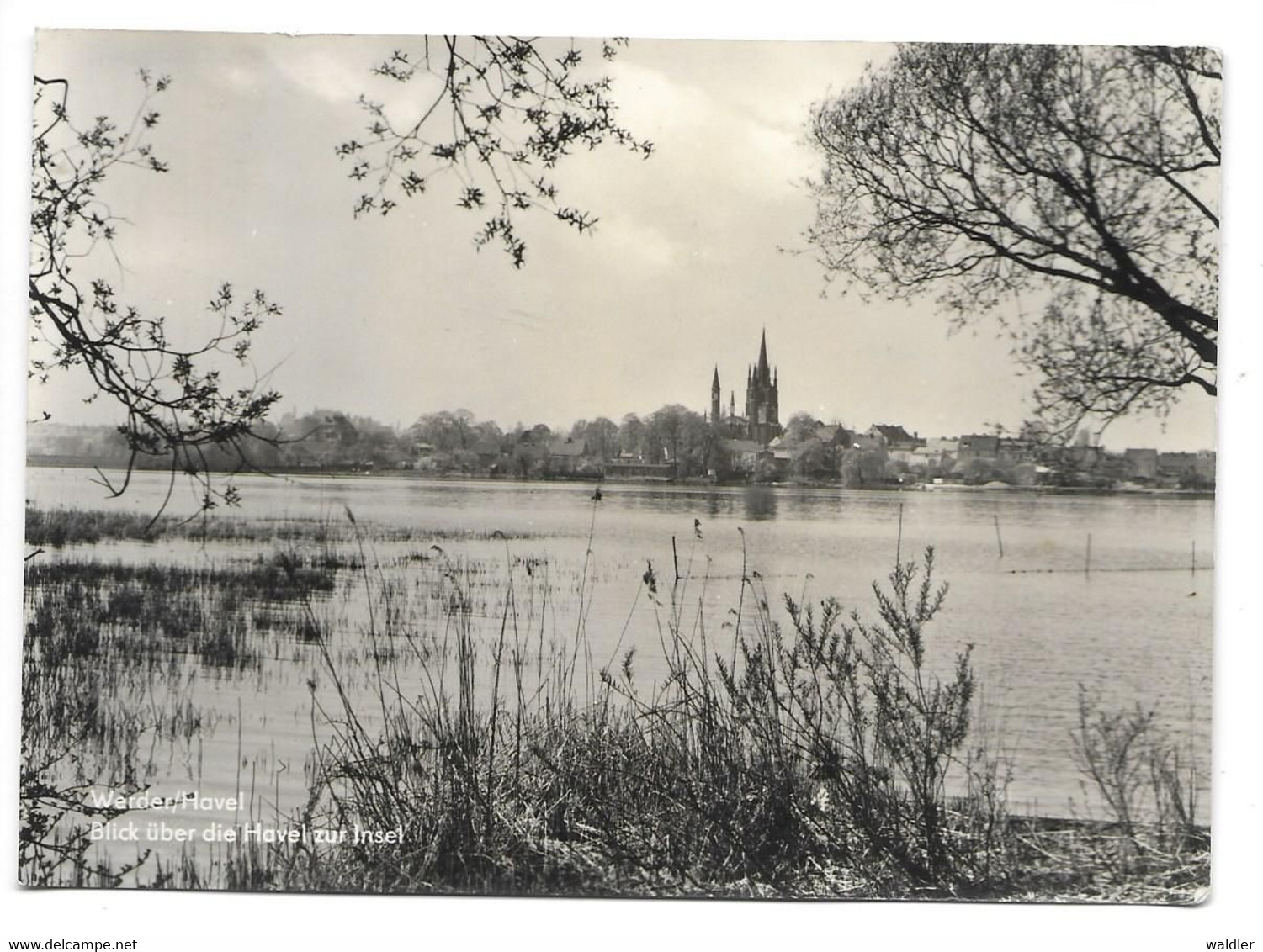 1512  WERDER / HAVEL, BLICK ÜBER DIE HAVEL ZUR INSEL  1973 - Werder