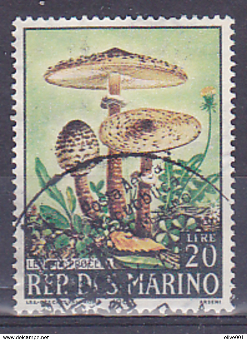 San Marino - 1967 - CHAMPIGNON - Lepiota Procera - Y&T N° 700 (0) Used - Used Stamps