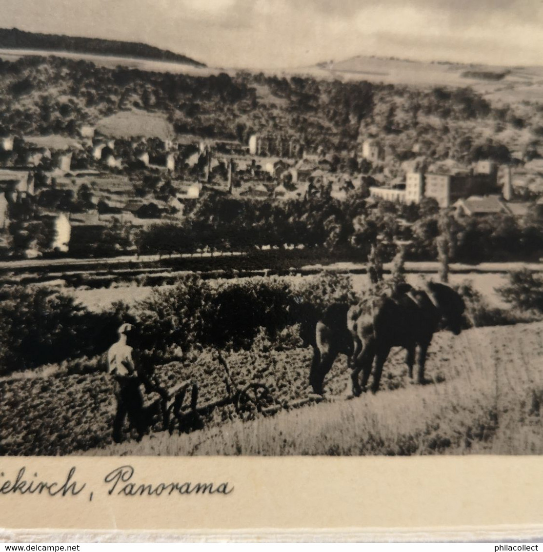 Diekirch (Luxembourg) Panorama (not Standard With Farm Worker) 193? - Diekirch