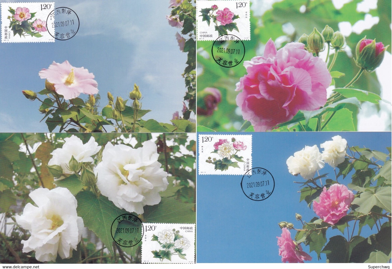 China Maximum Card，2021-18 Flower And Wood Hibiscus Sold In Pengze Hibiscus Misplaced Date Stamp，4 Pcs - Cartes-maximum