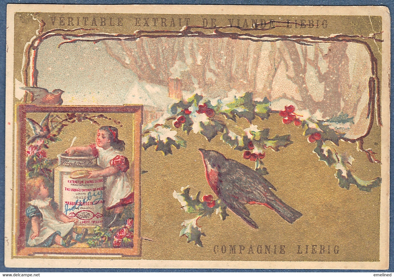 Chromo Liebig S101 Série Oiseaux Oiseau Rouge Gorge Pot Disproportionné Cadre à Gauche Avec Enfants Fillette Fillettes - Liebig