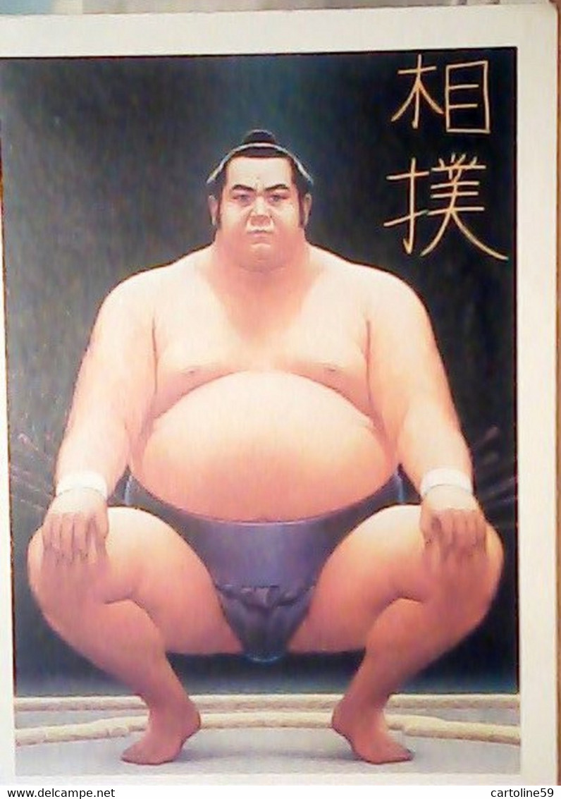 JAPAN - SUMO / WRESTLING - NATIONAL SPORT ILLUSTRATA  BY STEVE GULBIS VB1991 IY3663 - Worstelen