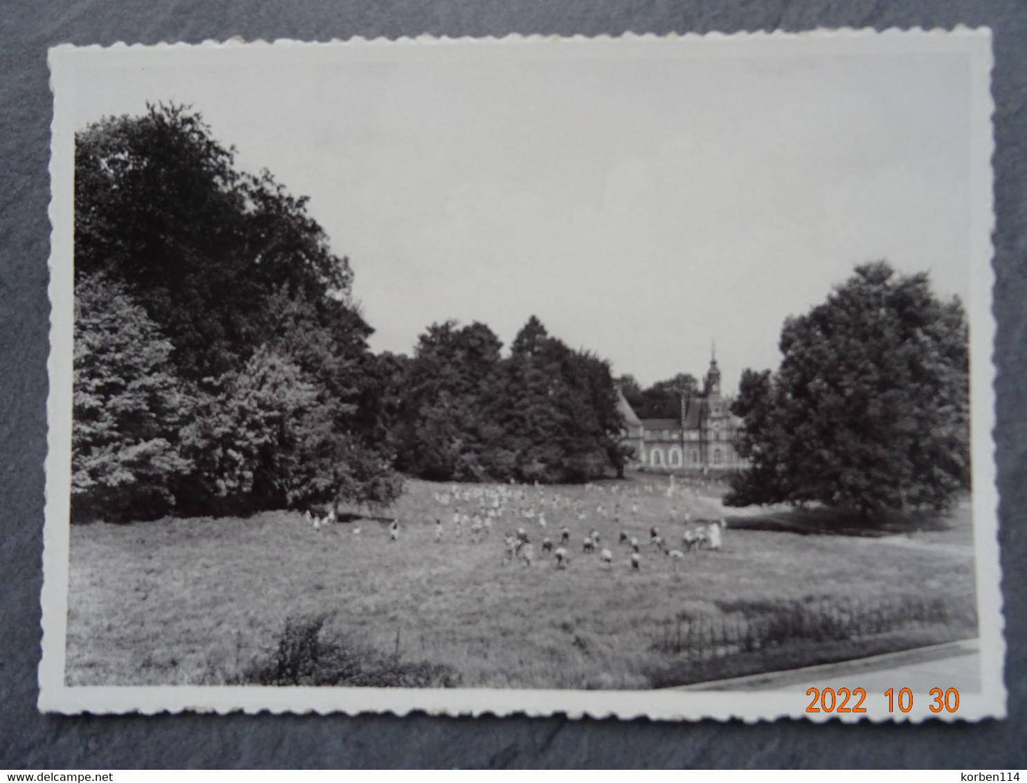 DONGELBERG  COLONIE ENFANTS DEBILES    JEUX - Jodoigne