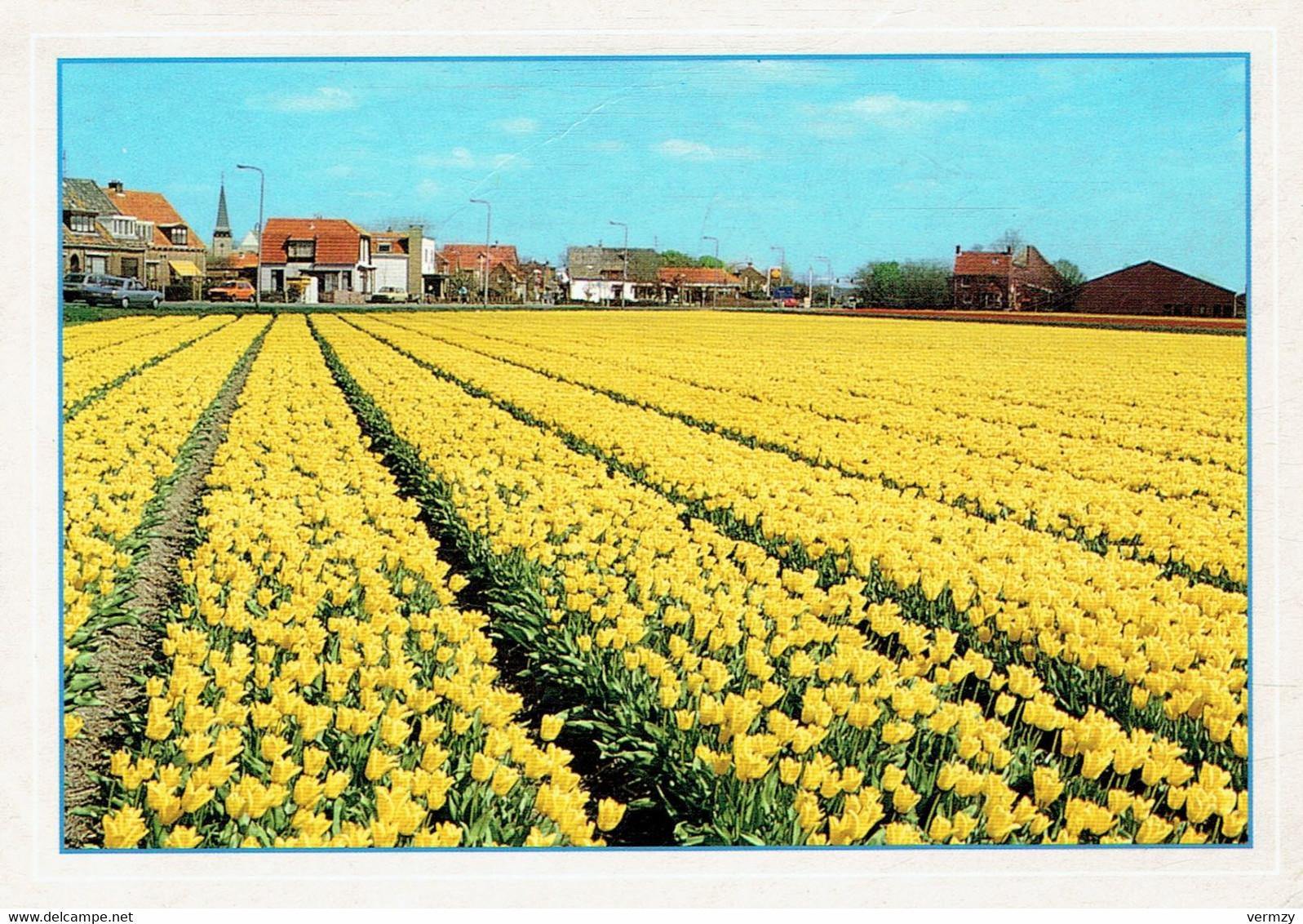 Groeten Uit EGMOND - Affr Philatélique - Egmond Aan Zee